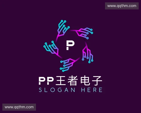 了解PP王者电子